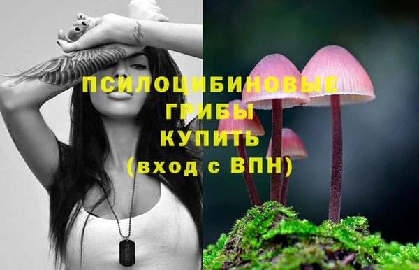 винт Богородицк